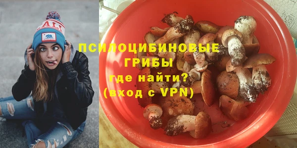 эйфоретик Михайловск