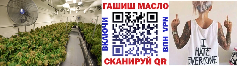 Купить  Кирсанов  ТГК концентрат 